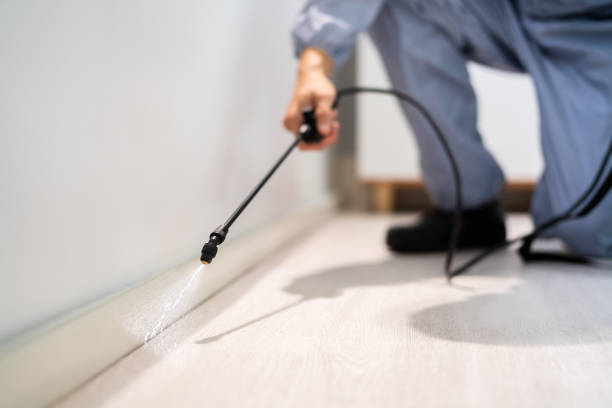 Bed Bug Pre-Treatment Preparation Assessment in Woodside